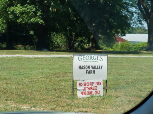 Mason Chicken & Seafood